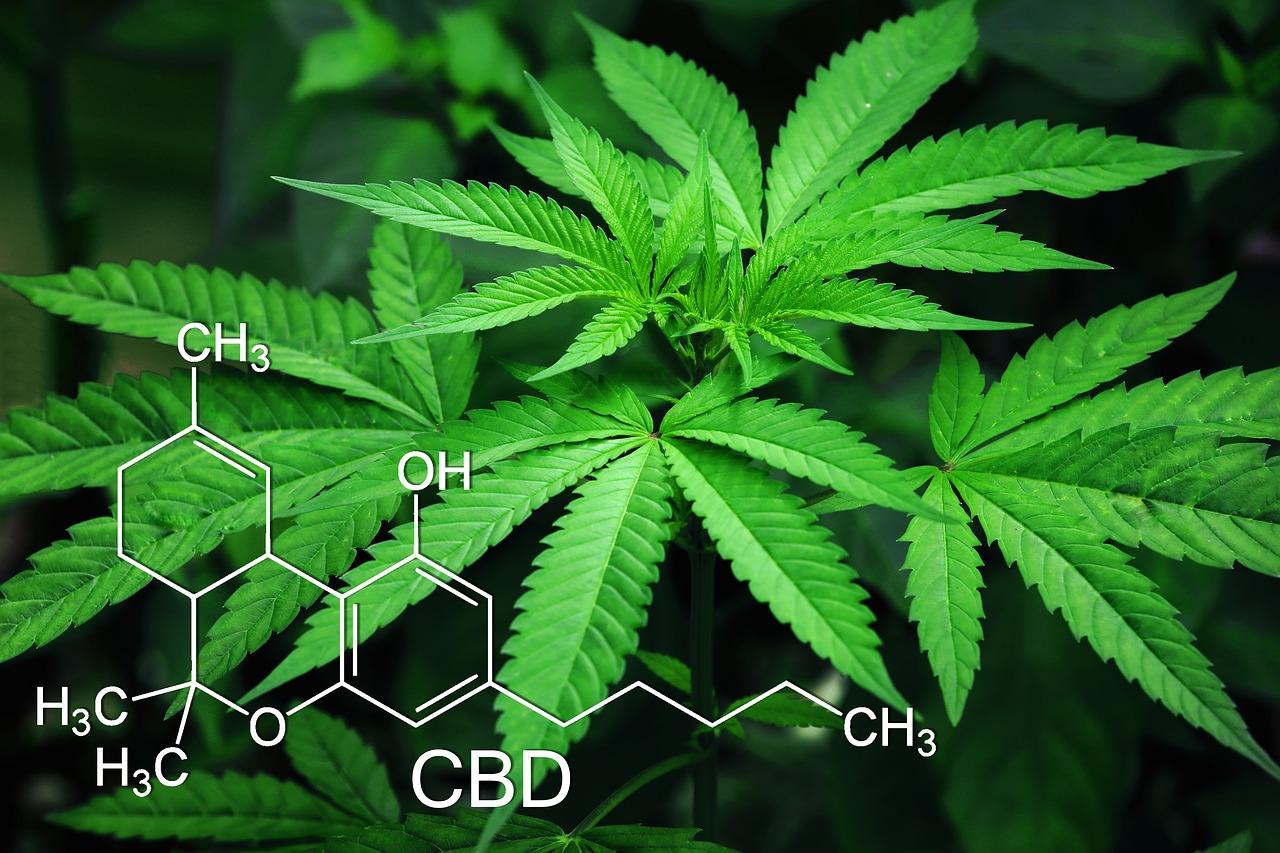Medical Marijuana CBD Neuropathy