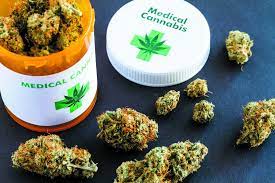  Medicinal Marijuana 