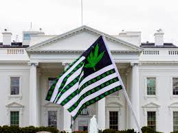 Federal Marijuana