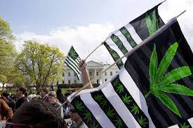 Federal Marijuana