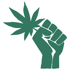 Is Weed Legal in Florida: Hand Holding Marijuana Leaf
