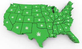 Is Weed Legal in Florida: United States Legal Marijuana