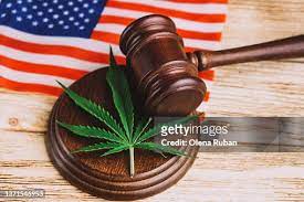 Is Weed Legal in Florida: Marijuana Leaf on Judge gauntlet