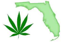Medical Cannabis leaf and Florida State