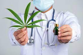 Doctor holding cannabis leaf and marijuana bottle.