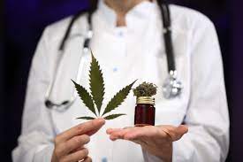 Medical Marijuanas Doctor Near Me Cheap