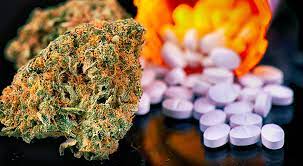 Medical Marijuana Healthcare