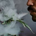 Is Marijuana Good for Gout?